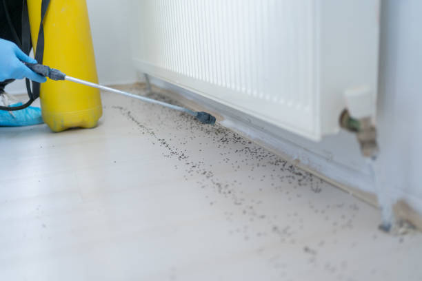 Best Wildlife Control Services  in Sanford, CO